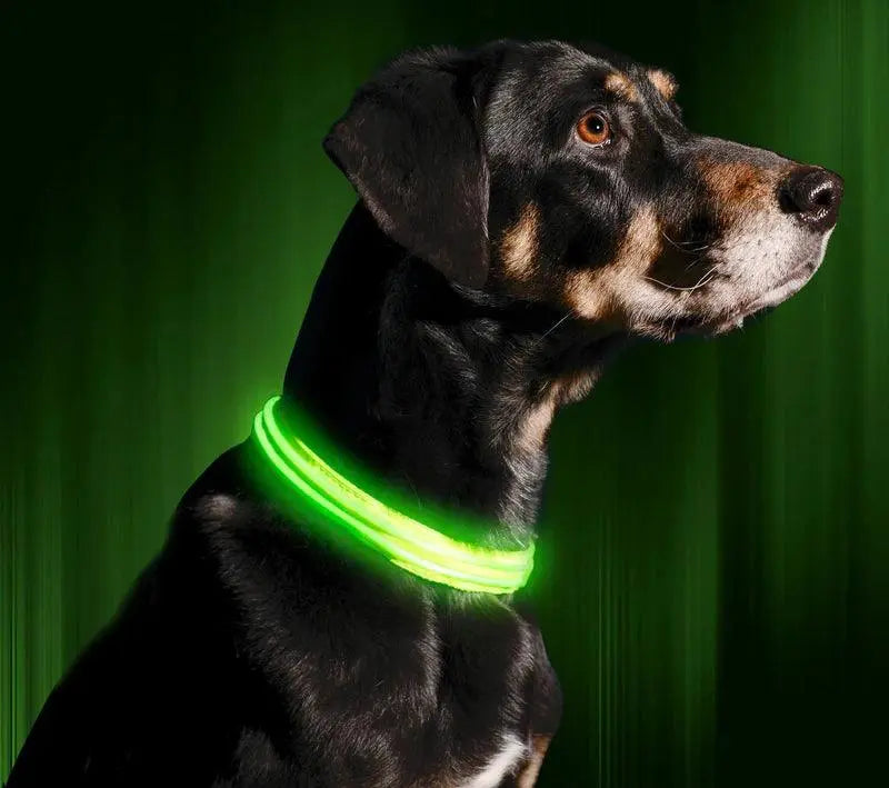 Reflective LED Collar 0 BonaceBoutique