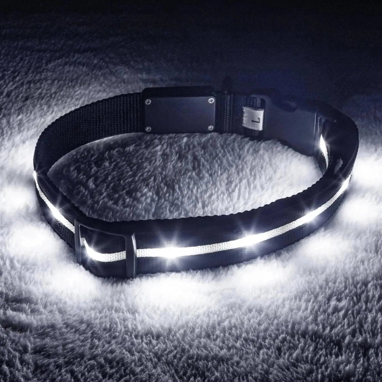 Reflective LED Collar 0 BonaceBoutique Black S