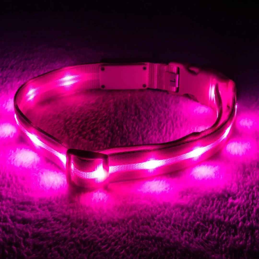 Reflective LED Collar 0 BonaceBoutique Hot Pink S