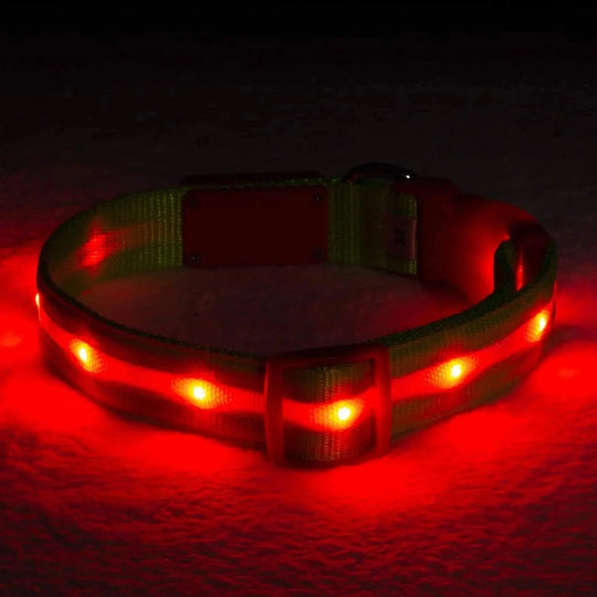 Reflective LED Collar 0 BonaceBoutique Orange Red S