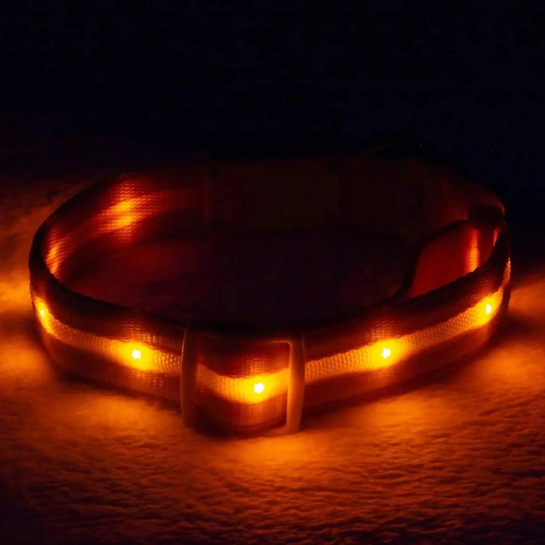 Reflective LED Collar 0 BonaceBoutique Orange S