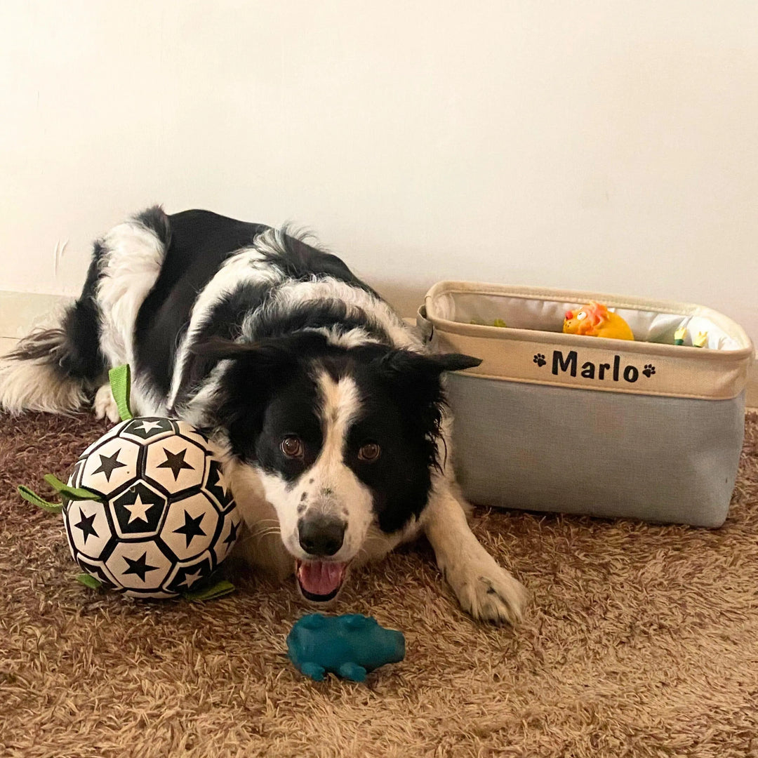 Soccer Ball With Grab Tabs 0 BonaceBoutique