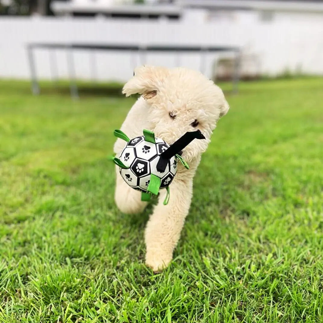 Soccer Ball With Grab Tabs 0 BonaceBoutique