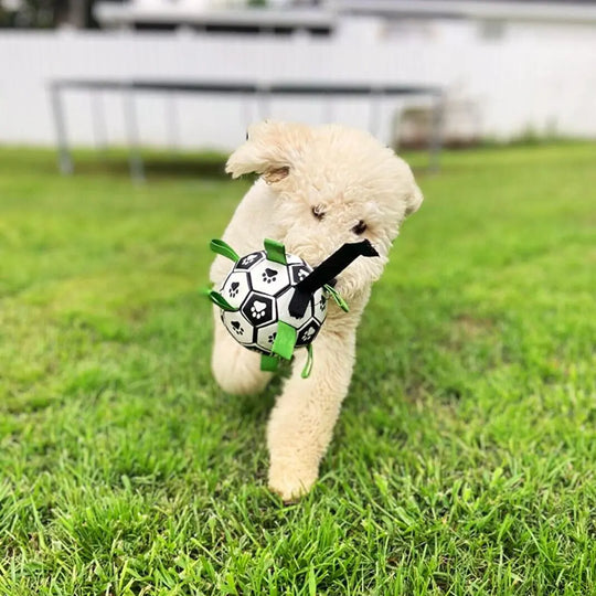 Soccer Ball With Grab Tabs 0 BonaceBoutique