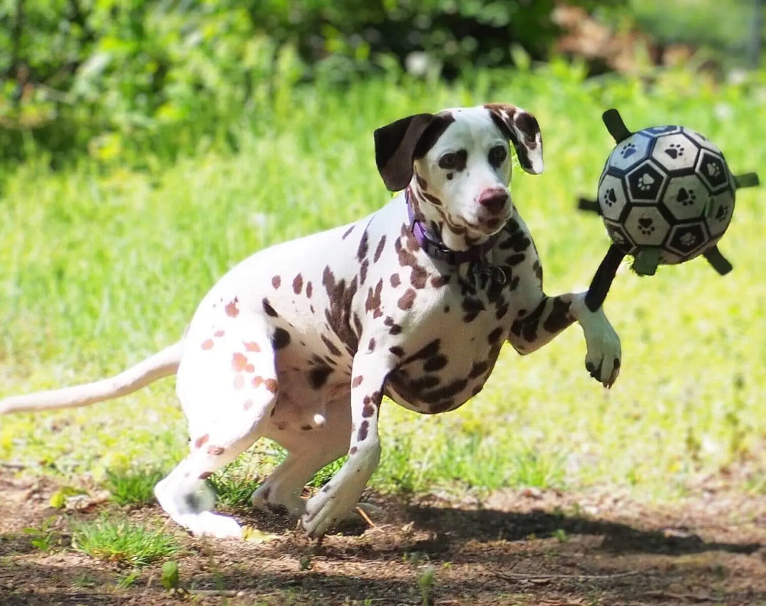 Soccer Ball With Grab Tabs 0 BonaceBoutique