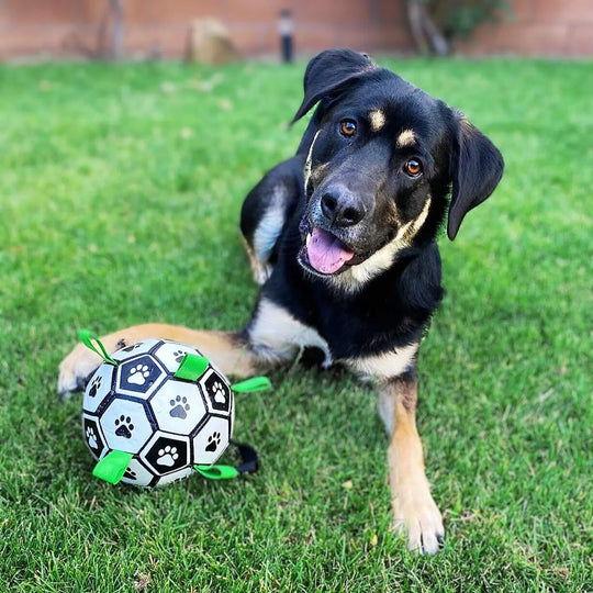 Soccer Ball With Grab Tabs 0 BonaceBoutique