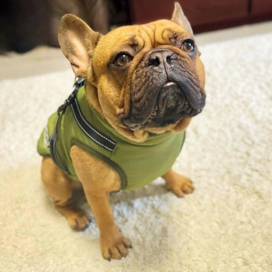 WaterProof Fleece Winter Coat One Paw Dog Company