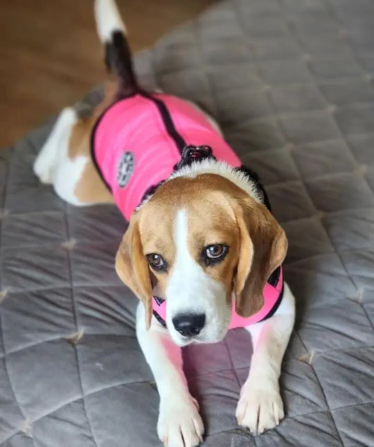 WaterProof Fleece Winter Coat One Paw Dog Company