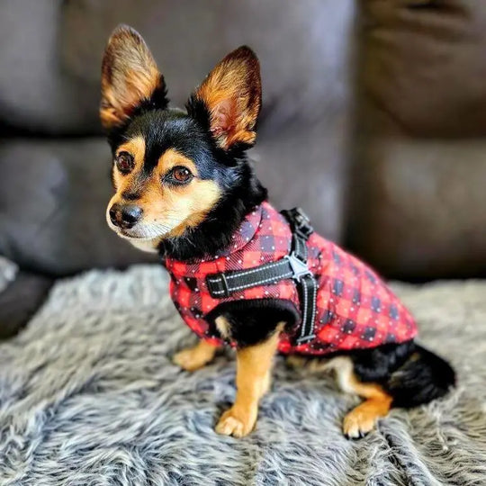 WaterProof Fleece Winter Coat One Paw Dog Company