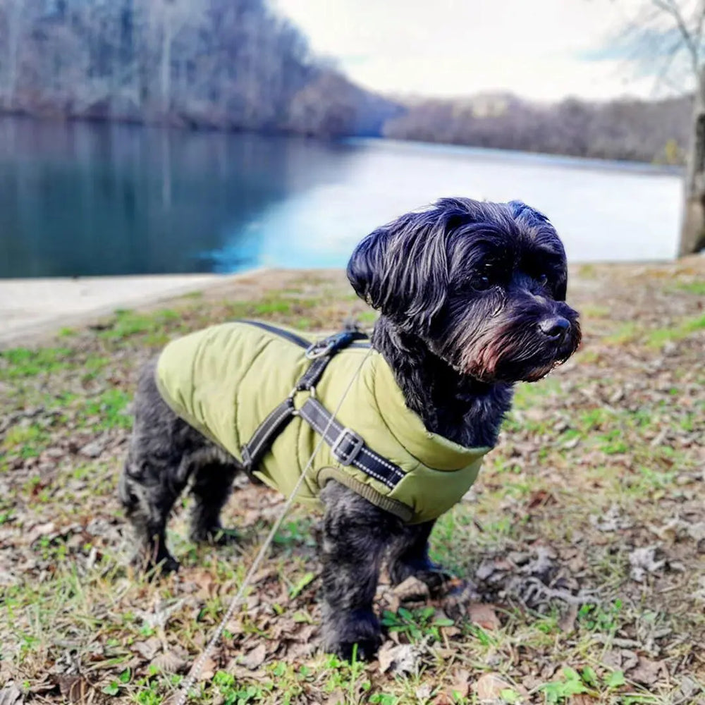 WaterProof Fleece Winter Coat One Paw Dog Company
