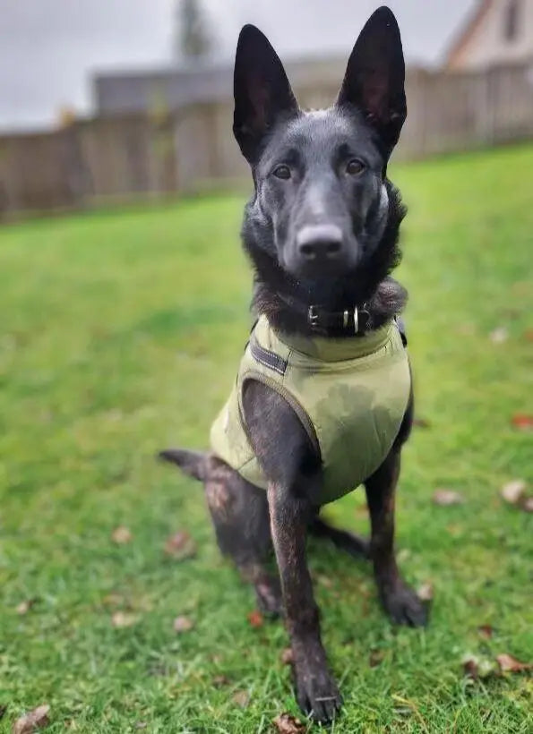 WaterProof Fleece Winter Coat One Paw Dog Company