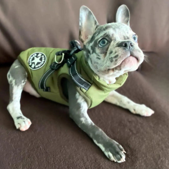 WaterProof Fleece Winter Coat One Paw Dog Company