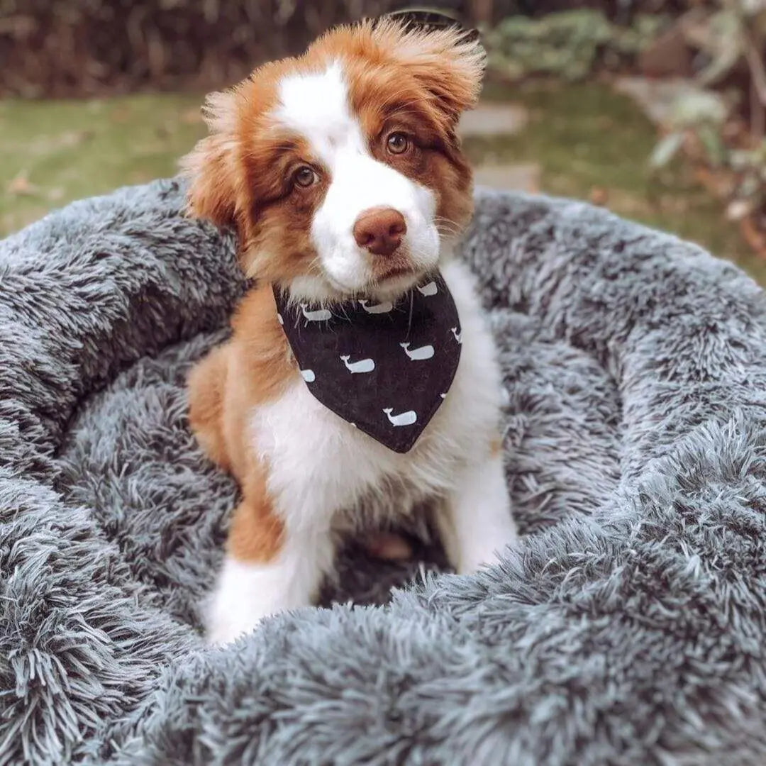 Calming Donut Bed With Removable Cover BonaceBoutique