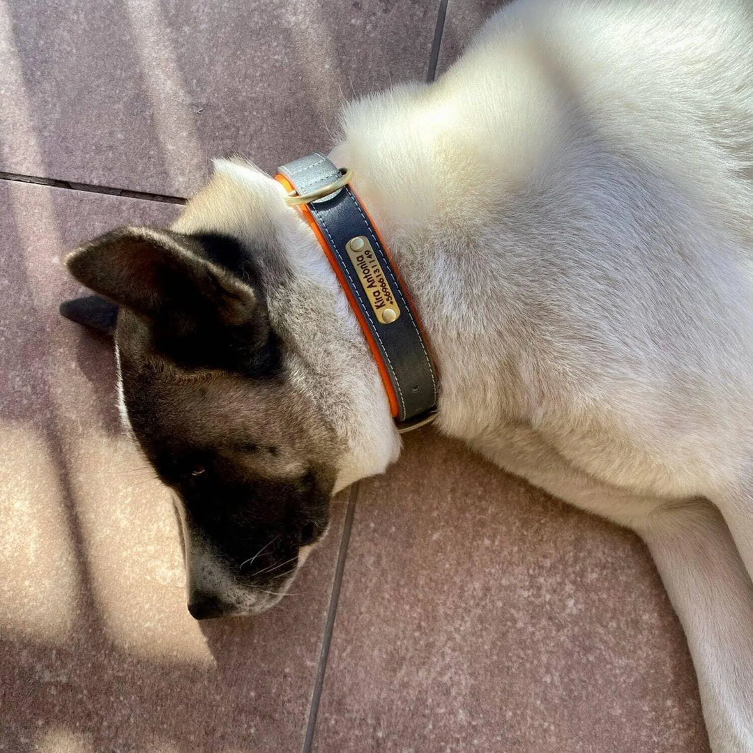 Customized Engraved Vegan Dog Collar 0 BonaceBoutique