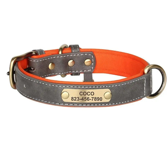 Customized Engraved Vegan Dog Collar 0 BonaceBoutique Gray XS