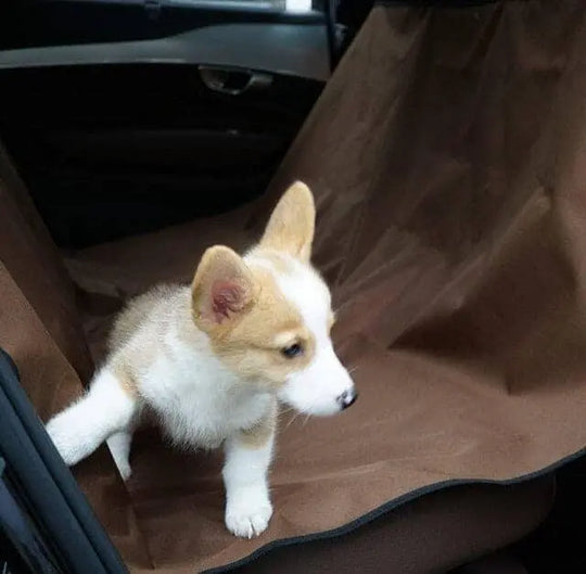 Dog Car Seat Cover 0 BonaceBoutique
