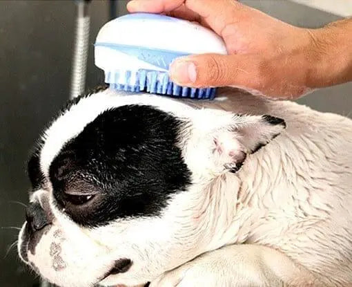 Dog Spa Shower Brush 0 BonaceBoutique