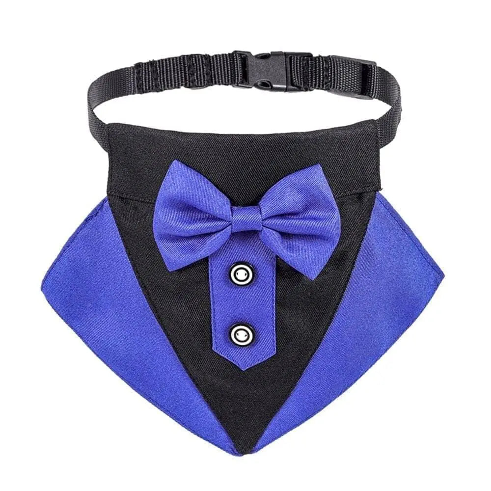 Dog Tuxedo Collar 0 BonaceBoutique Black & Blue S