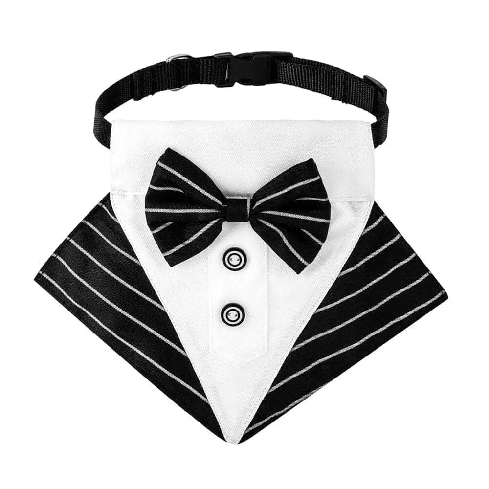 Dog Tuxedo Collar 0 BonaceBoutique Pinstriped S
