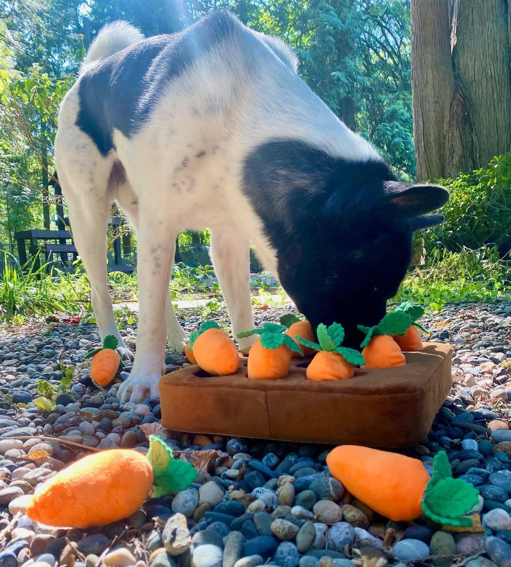 Enrichment Carrot Puzzle Snuffle Mat 0 BonaceBoutique
