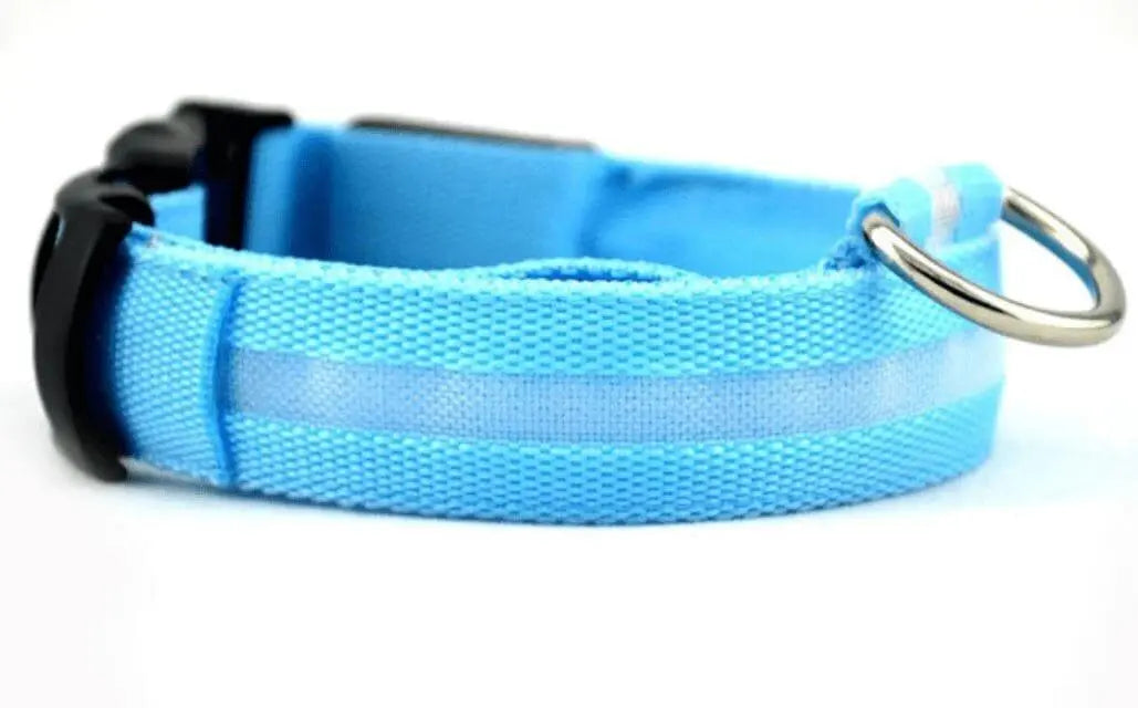 Illuminated LED Dog Collar 0 BonaceBoutique Deep Sky Blue S