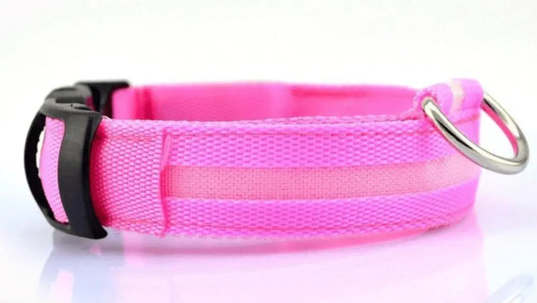 Illuminated LED Dog Collar 0 BonaceBoutique Hot Pink S