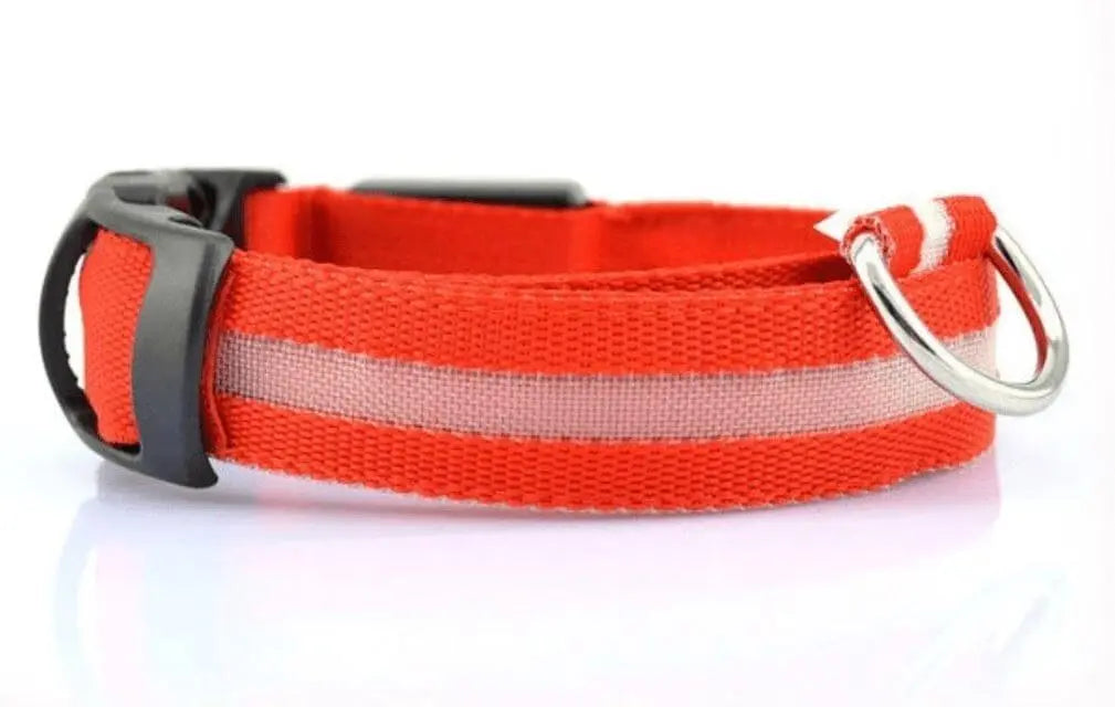 Illuminated LED Dog Collar 0 BonaceBoutique Orange Red S