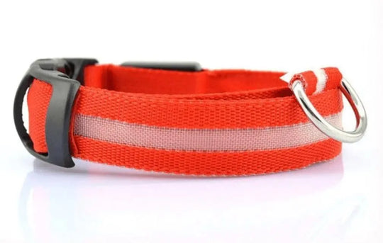 Illuminated LED Dog Collar 0 BonaceBoutique Orange Red S