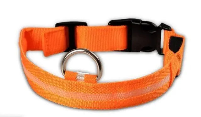 Illuminated LED Dog Collar 0 BonaceBoutique Orange S