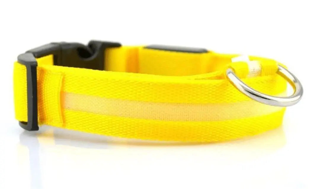 Illuminated LED Dog Collar 0 BonaceBoutique Yellow S