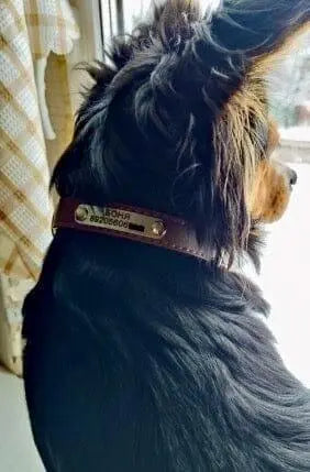 Personalized Genuine Leather Dog Collar BonaceBoutique