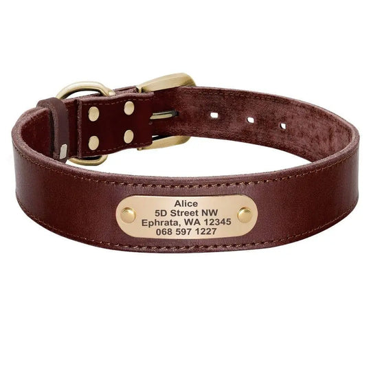 Personalized Genuine Leather Dog Collar BonaceBoutique Brown XS