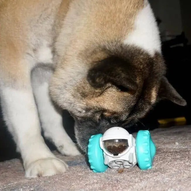 Slow Feeder Tumbler Toy 0 BonaceBoutique