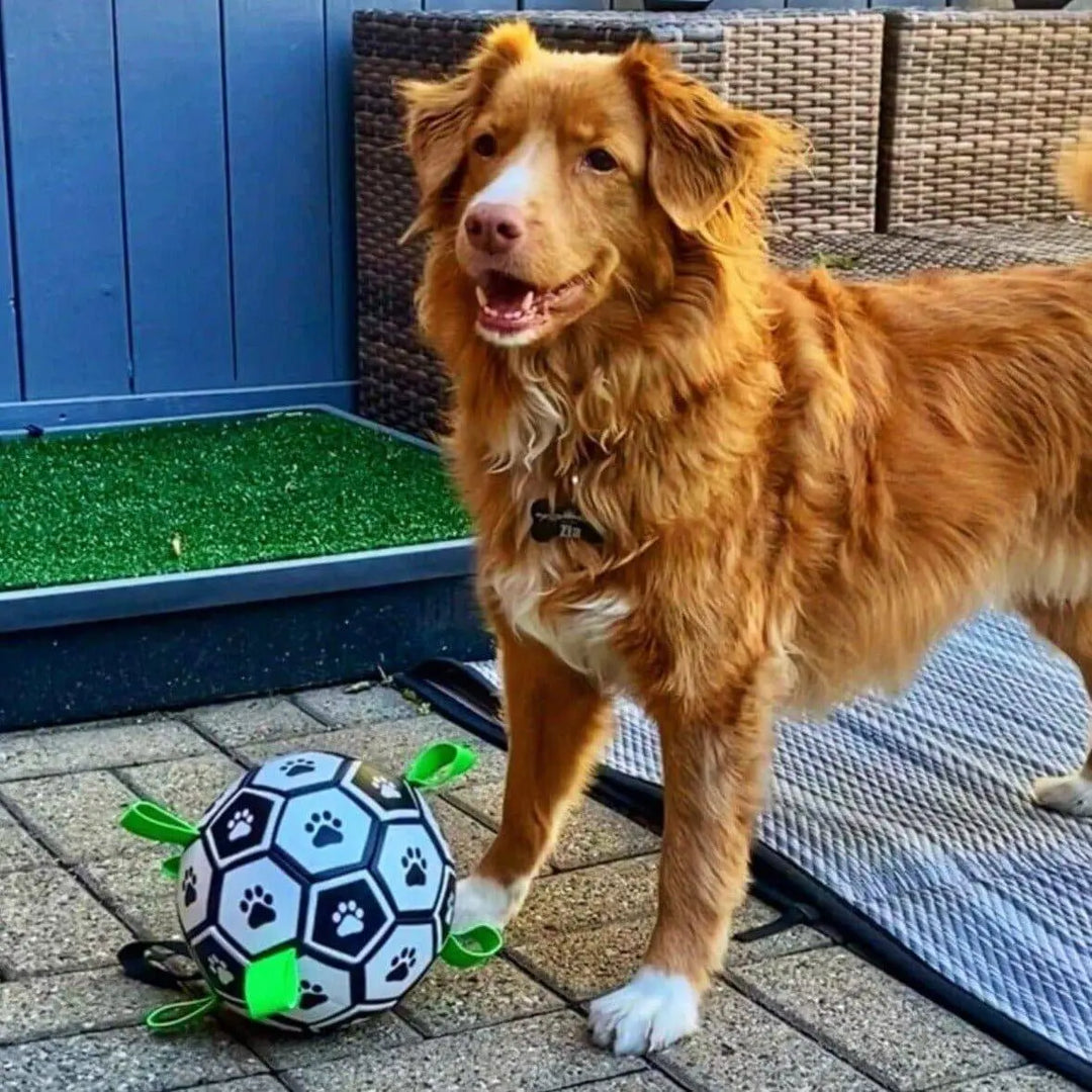 Soccer Ball For Dogs With Grab Tabs 0 BonaceBoutique