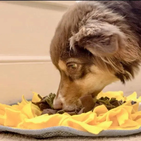 Sunflower Snuffle Mat 0 BonaceBoutique