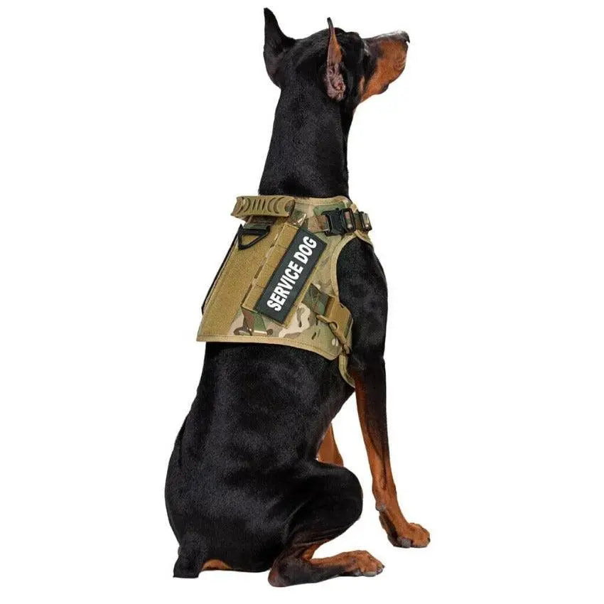 Tactical Harness + Leash Kit 0 BonaceBoutique