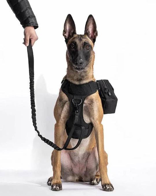 Tactical Harness + Leash Kit 0 BonaceBoutique