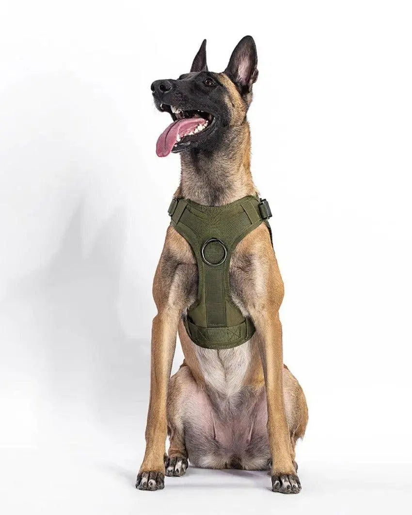 Tactical Harness + Leash Kit 0 BonaceBoutique