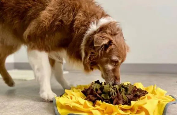 Are snuffle mats worth it?