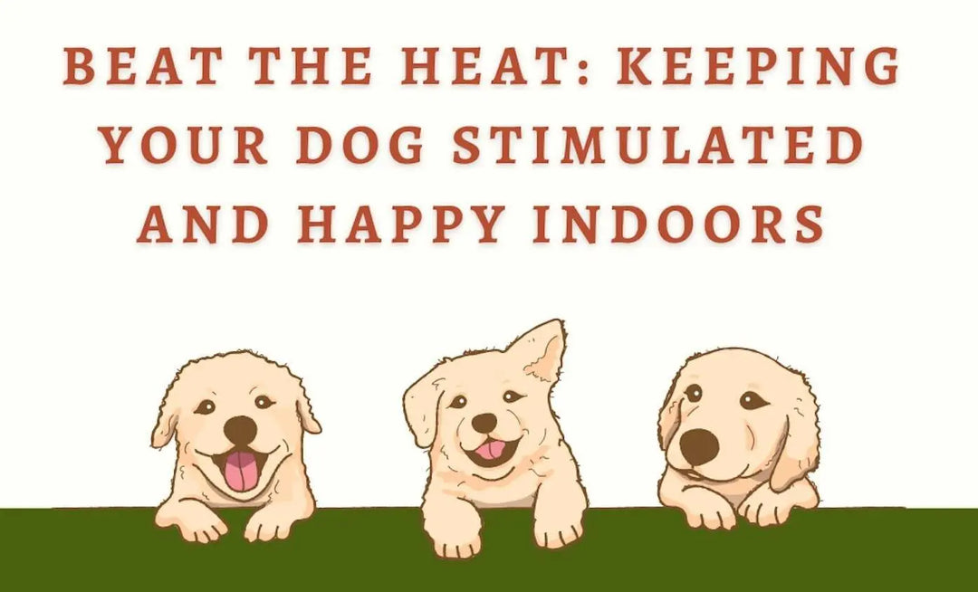 Beat the Heat: Keeping Your Dog Stimulated and Happy Indoors