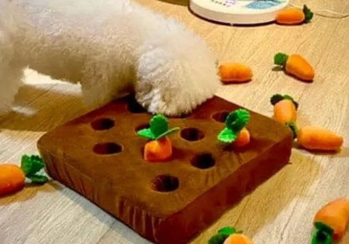 Does Your Beloved Dog Need a Carrot Snuffle Mat?