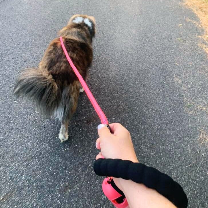 Reflective Leash With Padded Handle One Paw Dog Company 