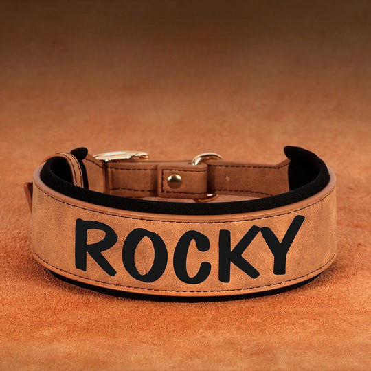 Personalized Leather Padded Collar