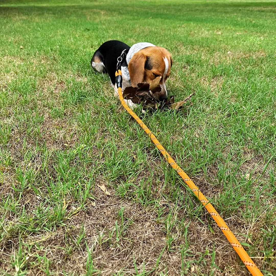 Reflective Leash With Padded Handle One Paw Dog Company 