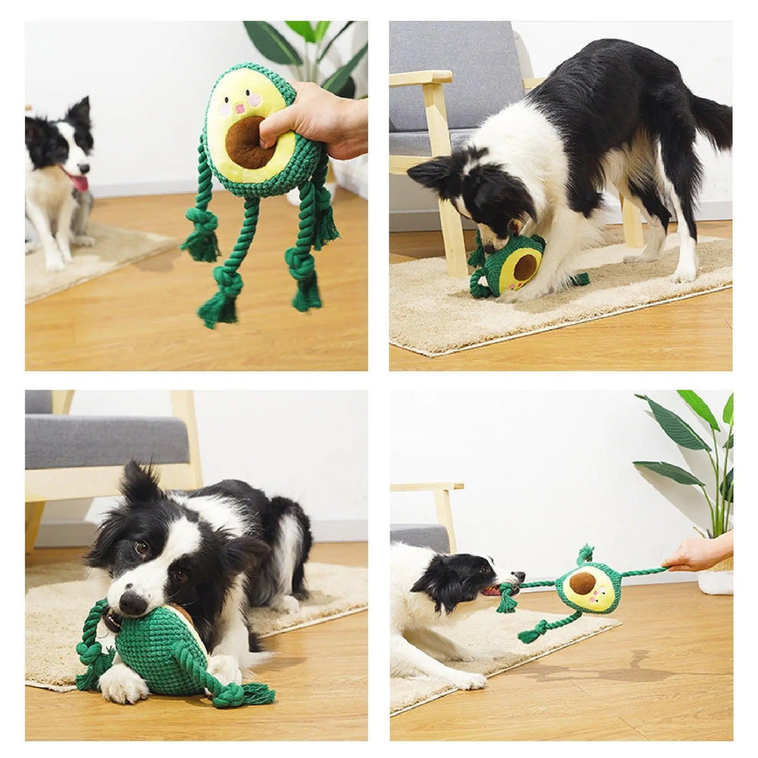 Avocado Squeaky Rope Toy 