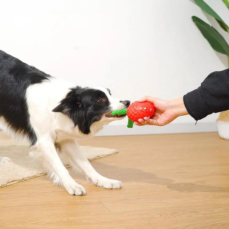 Angry Fish Chew Toy 