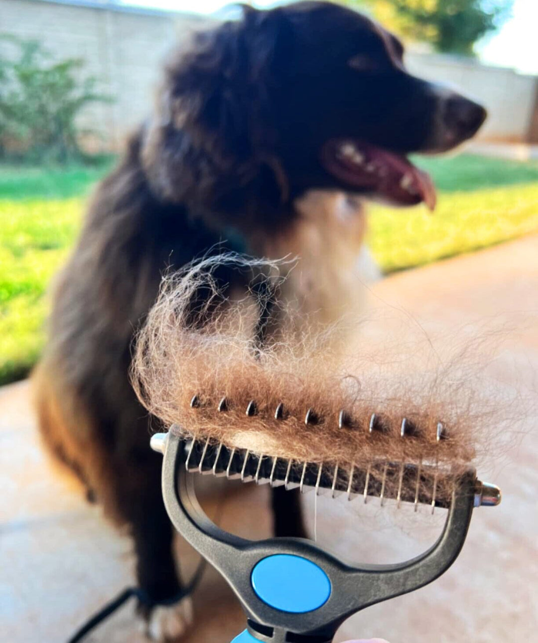 Double Sided Professional Undercoat Rake / Pet Grooming Brush 0 BonaceBoutique 