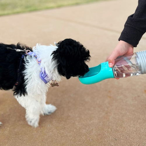 Portable 3-1 Dog Water Bottle Dog water bottle BonaceBoutique 