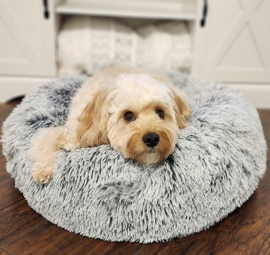 Calming Donut Bed With Removable Cover One Paw Dog Company 