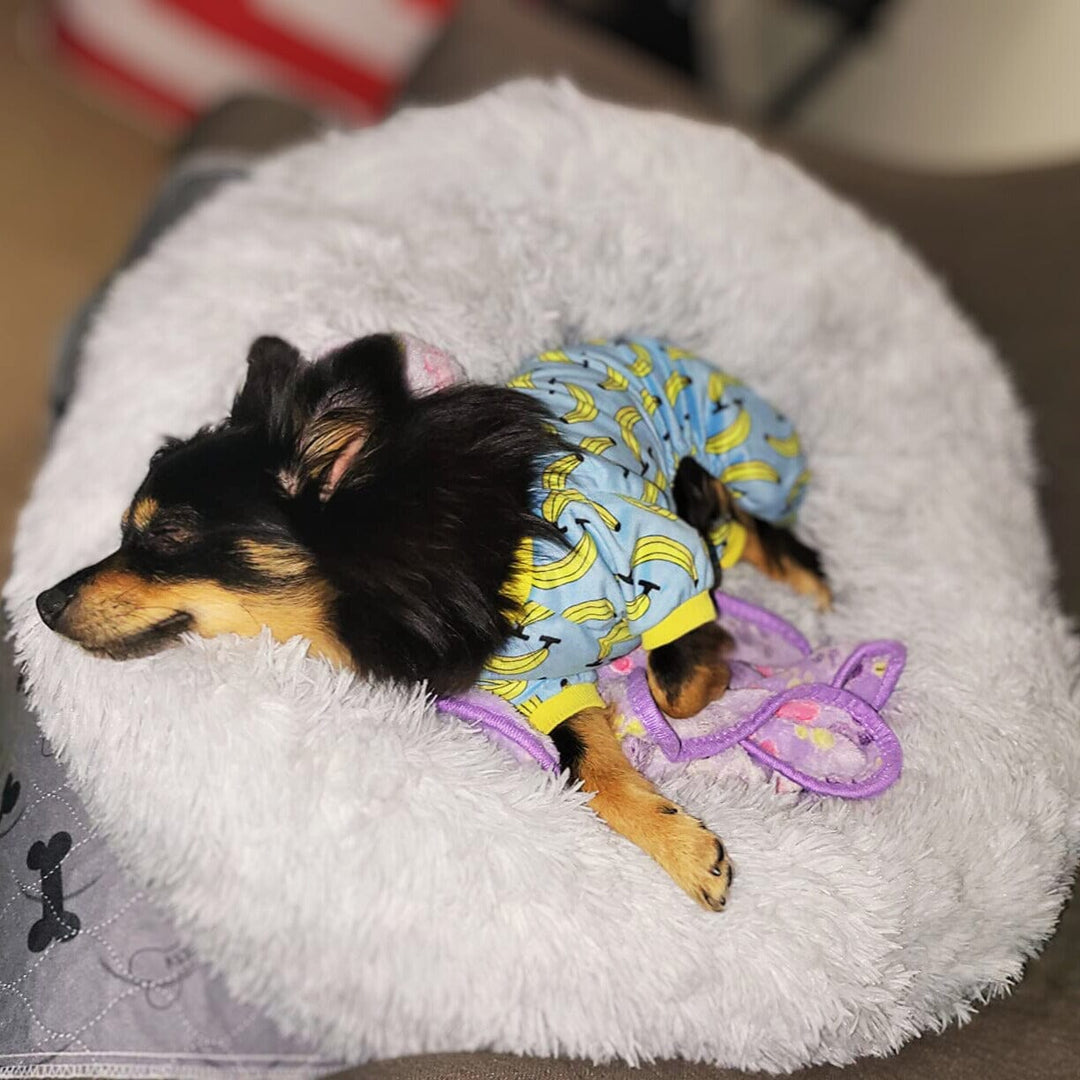 Calming Donut Bed With Removable Cover One Paw Dog Company 